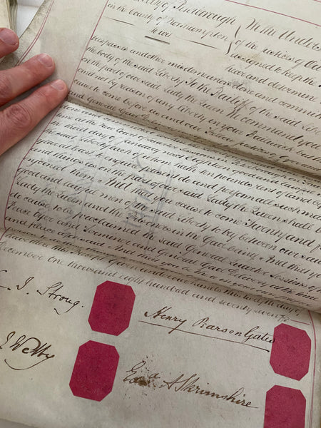 Curious Antique Victorian Collection Of Police Archives Inc. Police, Witness & Judicial Statements