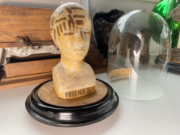 An Extremely Rare Early 19th Century Plaster Phrenology Head By Ambrose Lewis Vago & Period Glass Display Dome - Source Vintage