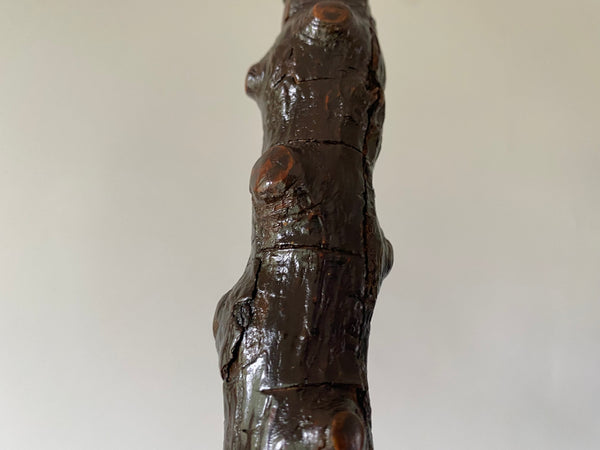 Rare Antique 18th Century Blackthorn Swordstick - Source Vintage