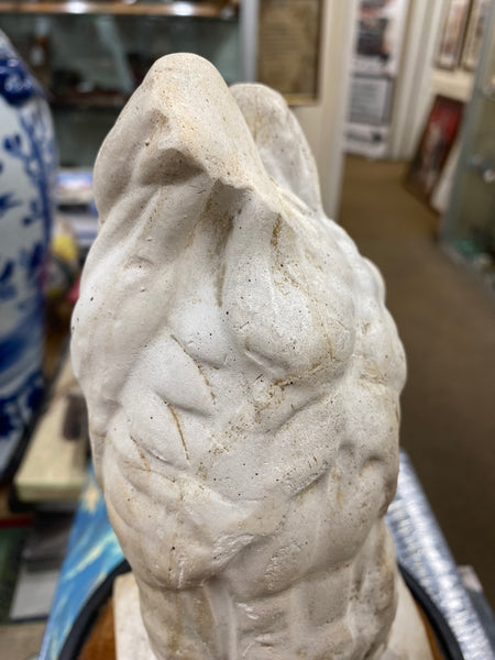 Early 20th Century French Plaster Écorché Study In 19th Century Glass Display Dome