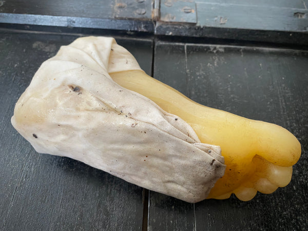 **RESERVED** Rare Antique Wax Medical Moulage Foot Study With Frostbitten Toes c.1900