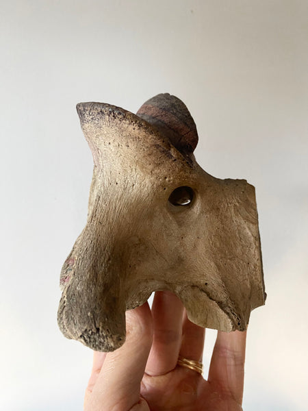 Rare Early 19th Century Sailor Folk Art Painted On Bone Vertebrae - Source Vintage