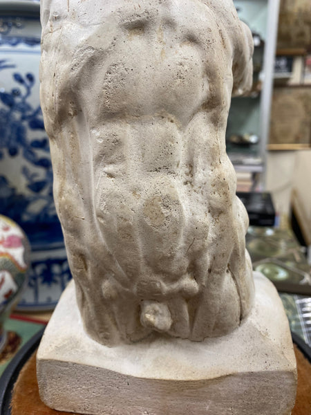 Early 20th Century French Plaster Écorché Study In 19th Century Glass Display Dome