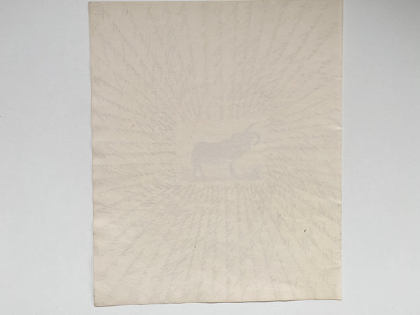 Antique 19th Century Folk Art Circular Hand Drawn Zoological Study - Source Vintage