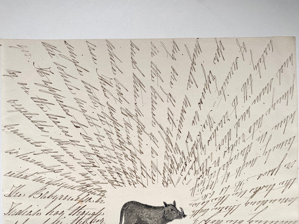 Antique 19th Century Folk Art Circular Hand Drawn Zoological Study - Source Vintage