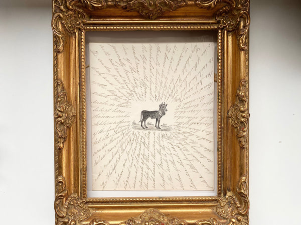 Antique 19th Century Folk Art Circular Hand Drawn Zoological Study - Source Vintage