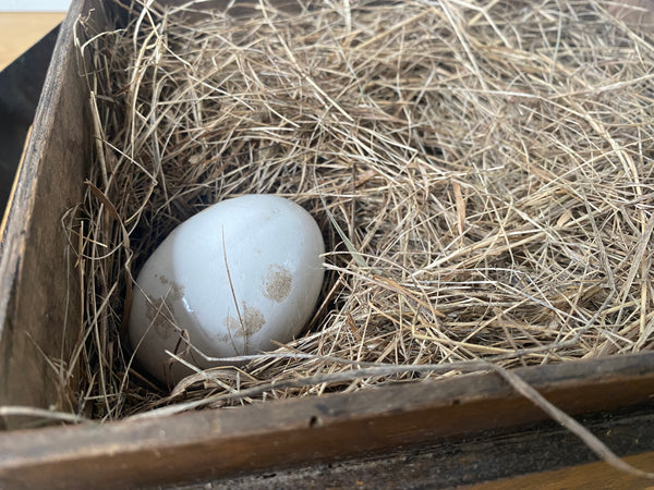 A Charming 19th Century Egg Box With A Surprise Inside - Source Vintage
