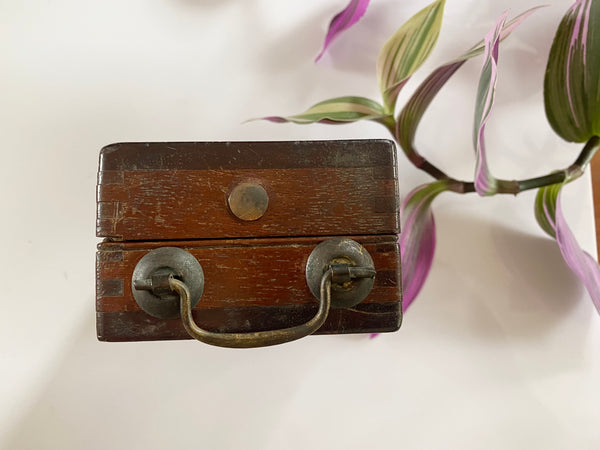 **RESERVED** Rare Antique 19th Century Witches Oak Apothecary Box With Partially Mummified Witches Familiar - Source Vintage