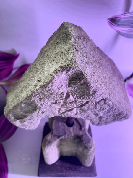 Rare Antique Limestone Fragment From A Window Or Door Reveal With Pentagram Witches Mark Engraving - Source Vintage