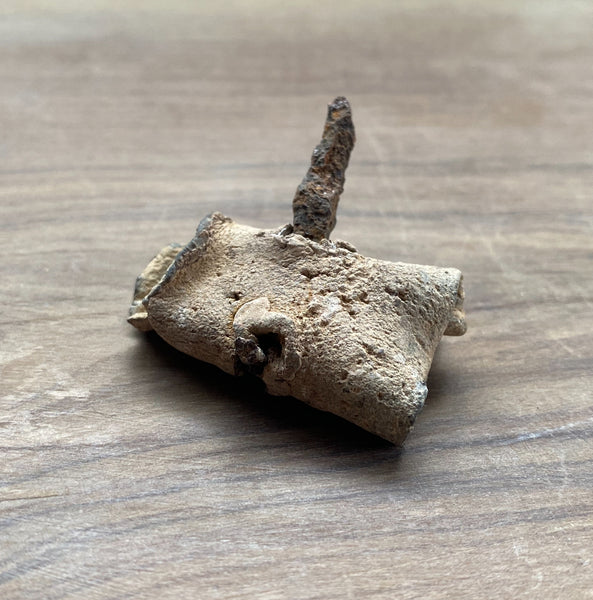 Rare Ancient Roman Lead Curse Still Sealed With Nail - Source Vintage