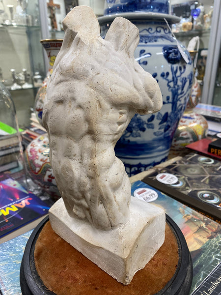 Early 20th Century French Plaster Écorché Study In 19th Century Glass Display Dome