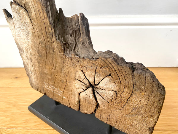 Rare 12th Century Timber Fragment From The Old Templar Manor Herdewyke - Source Vintage