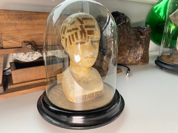 An Extremely Rare Early 19th Century Plaster Phrenology Head By Ambrose Lewis Vago & Period Glass Display Dome - Source Vintage