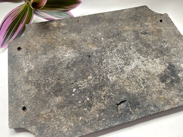 Antique Macabre French Death Plaque Named And Dated 1913 - Source Vintage