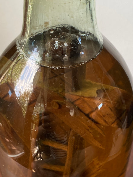 Antique 19th Century Folk Art ‘God In A Bottle’ Protection Whimsy