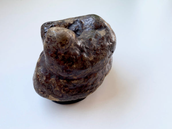 Antique 19th Century Victorian Novelty Papier Mache Snuff Box In The Form Of A Turd