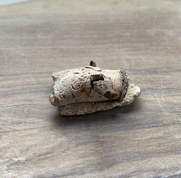 Rare Ancient Roman Lead Curse Still Sealed With Nail - Source Vintage