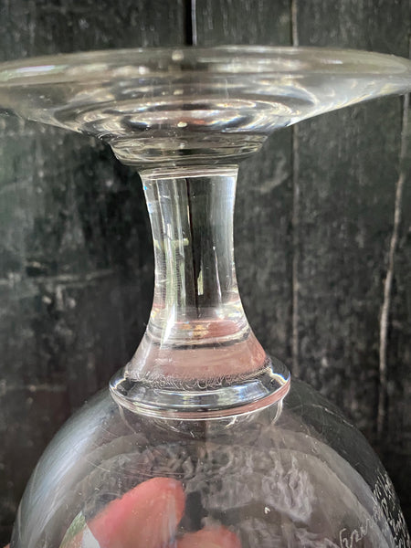 Antique 19th Century Glass Goblet Heavily Inscribed In Diamond Point With Various Imagery & Verse