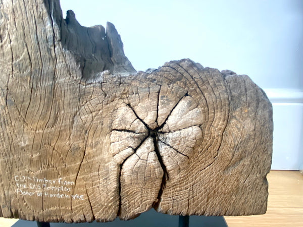 Rare 12th Century Timber Fragment From The Old Templar Manor Herdewyke - Source Vintage