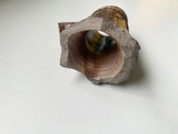 A 16th - 17th Century Bellarmine Jug Fragment Or Witches Bottle - Source Vintage