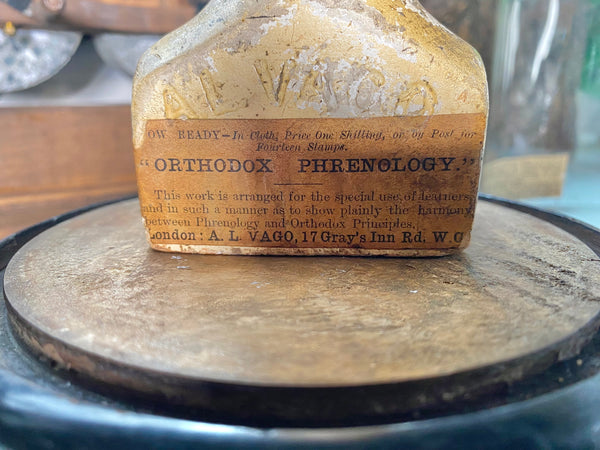An Extremely Rare Early 19th Century Plaster Phrenology Head By Ambrose Lewis Vago & Period Glass Display Dome - Source Vintage