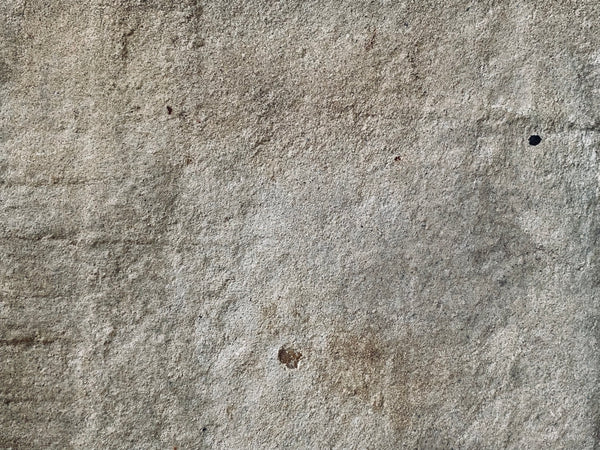 Heavy Reclaimed Antique Stone Slab Engraved In Latin ‘Tempus Fugit’ - Source Vintage