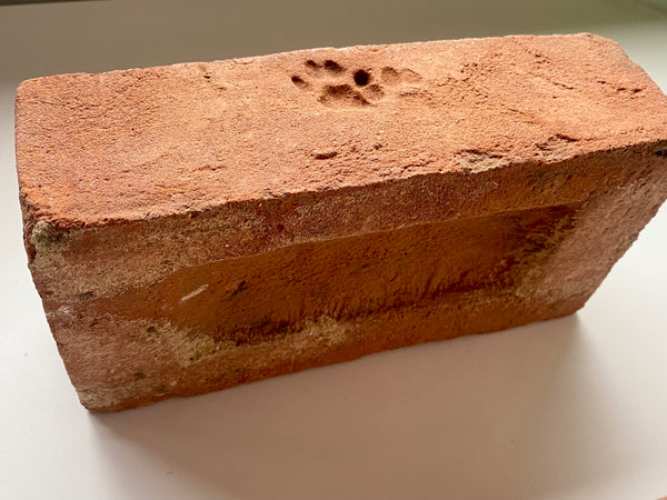A Salvaged Victorian House Brick With The Sweetest Cat Paw Print