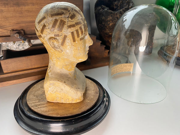 An Extremely Rare Early 19th Century Plaster Phrenology Head By Ambrose Lewis Vago & Period Glass Display Dome - Source Vintage