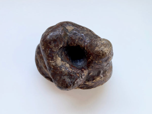 Antique 19th Century Victorian Novelty Papier Mache Snuff Box In The Form Of A Turd