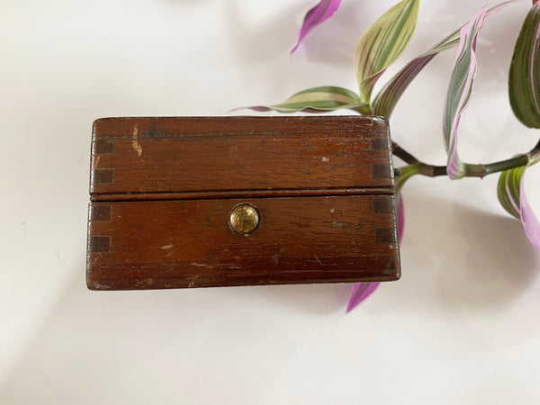 **RESERVED** Rare Antique 19th Century Witches Oak Apothecary Box With Partially Mummified Witches Familiar - Source Vintage