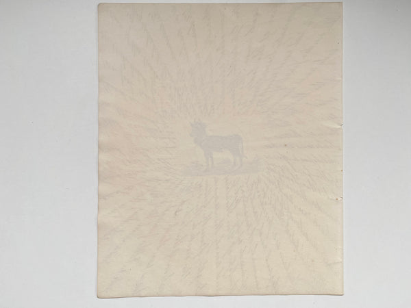 Antique 19th Century Folk Art Circular Hand Drawn Zoological Study - Source Vintage