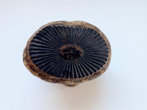 Antique 19th Century Victorian Novelty Papier Mache Snuff Box In The Form Of A Turd