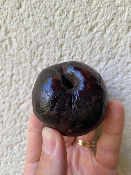 Curious Rare Antique Petrified Apple