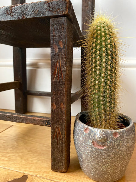 Antique Early 20th Century Folk Art Miniature Pet Chair - Source Vintage