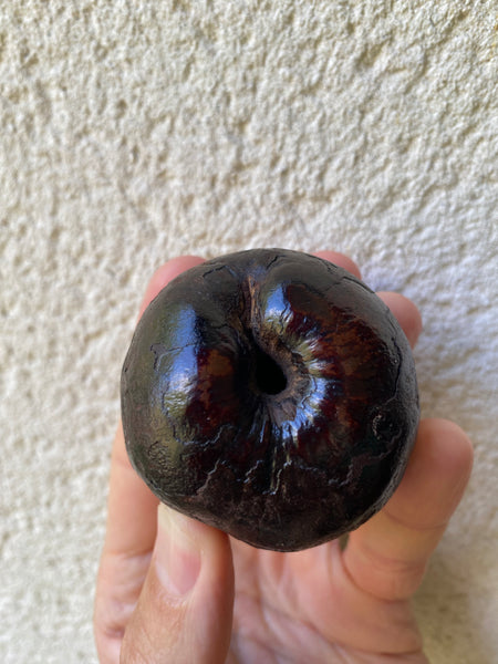 Curious Rare Antique Petrified Apple