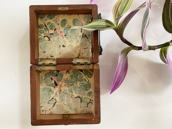 **RESERVED** Rare Antique 19th Century Witches Oak Apothecary Box With Partially Mummified Witches Familiar - Source Vintage