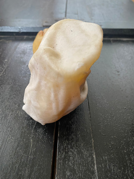 **RESERVED** Rare Antique Wax Medical Moulage Foot Study With Frostbitten Toes c.1900