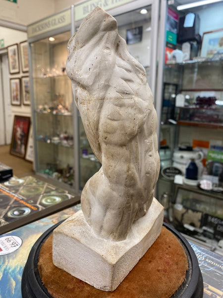 Early 20th Century French Plaster Écorché Study In 19th Century Glass Display Dome