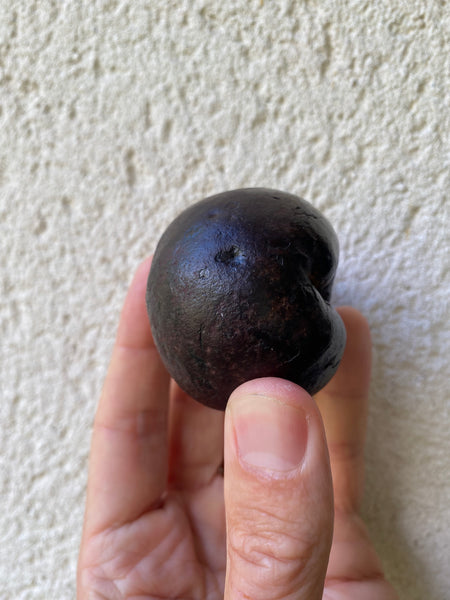 Curious Rare Antique Petrified Apple