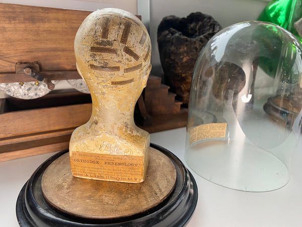 An Extremely Rare Early 19th Century Plaster Phrenology Head By Ambrose Lewis Vago & Period Glass Display Dome - Source Vintage
