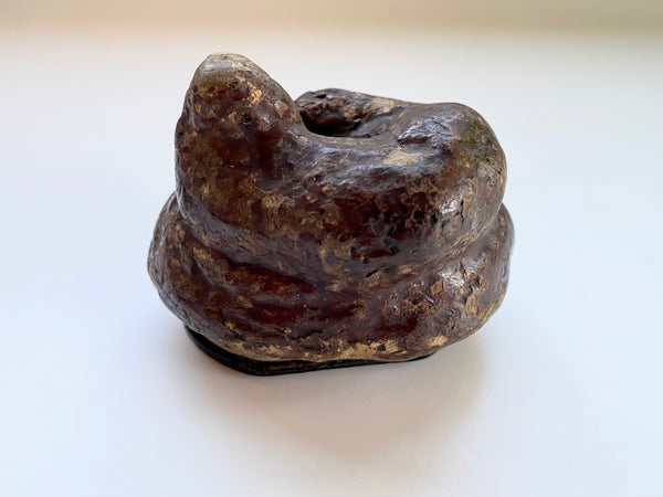 Antique 19th Century Victorian Novelty Papier Mache Snuff Box In The Form Of A Turd