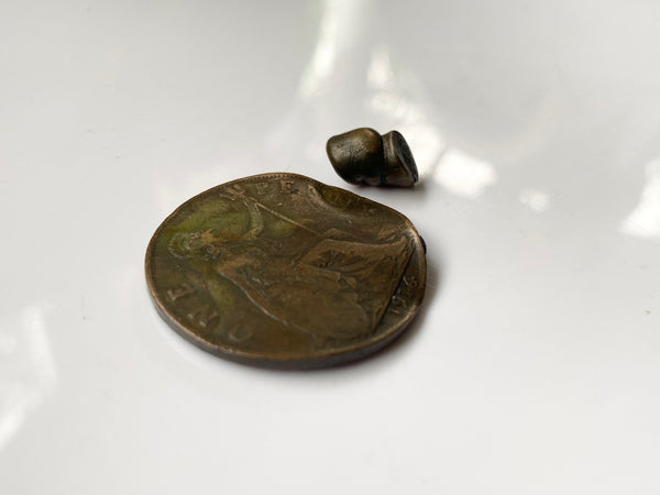 Curious World War 1 Penny Shot By A Bullet