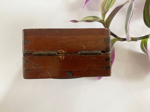 **RESERVED** Rare Antique 19th Century Witches Oak Apothecary Box With Partially Mummified Witches Familiar - Source Vintage