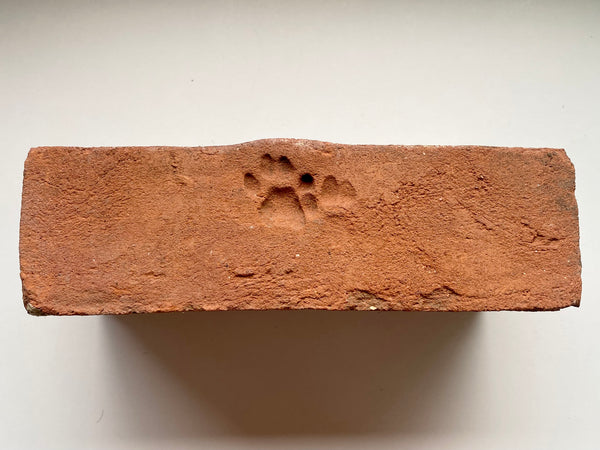 A Salvaged Victorian House Brick With The Sweetest Cat Paw Print