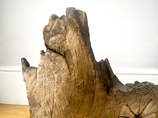 Rare 12th Century Timber Fragment From The Old Templar Manor Herdewyke - Source Vintage