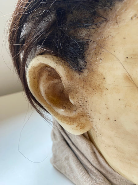Antique Wax Medical Moulage Of A Female c.1900