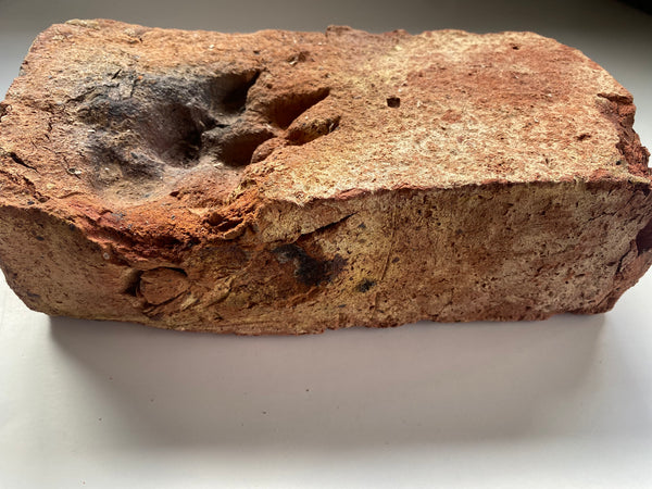 A Salvaged Victorian House Brick With A Curious Paw Print, Dating To Around 1860 - Source Vintage
