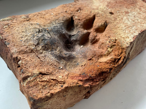 A Salvaged Victorian House Brick With A Curious Paw Print, Dating To Around 1860 - Source Vintage