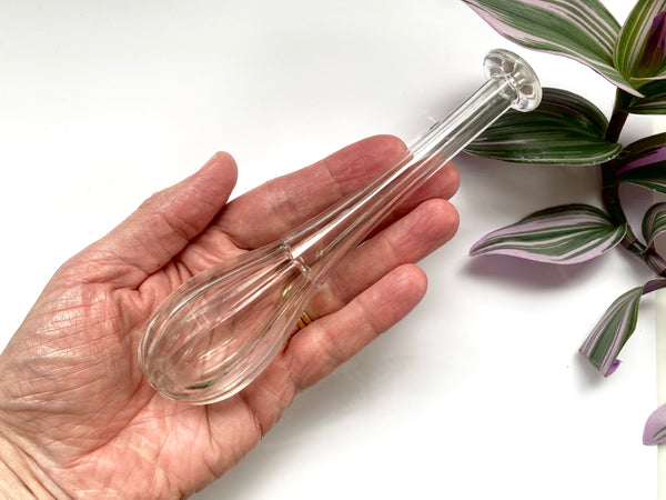 An Early 19th Century Georgian Glass Toddy Lifter c.1780-1820 - Source Vintage