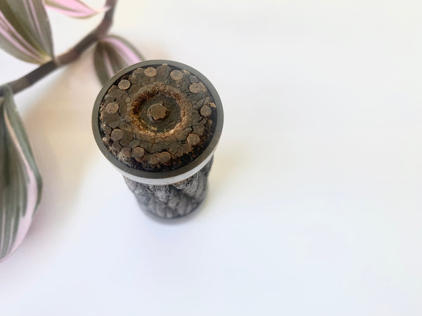 A Rare Section Of The First Transatlantic Cable, A Technological Wonder Of The Nineteenth Century - Source Vintage